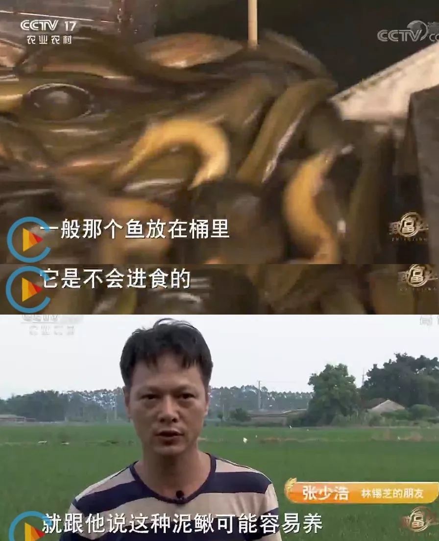 卖光家产！身背巨债！绝望中，他靠一种薄壳的小东西，年赚百万