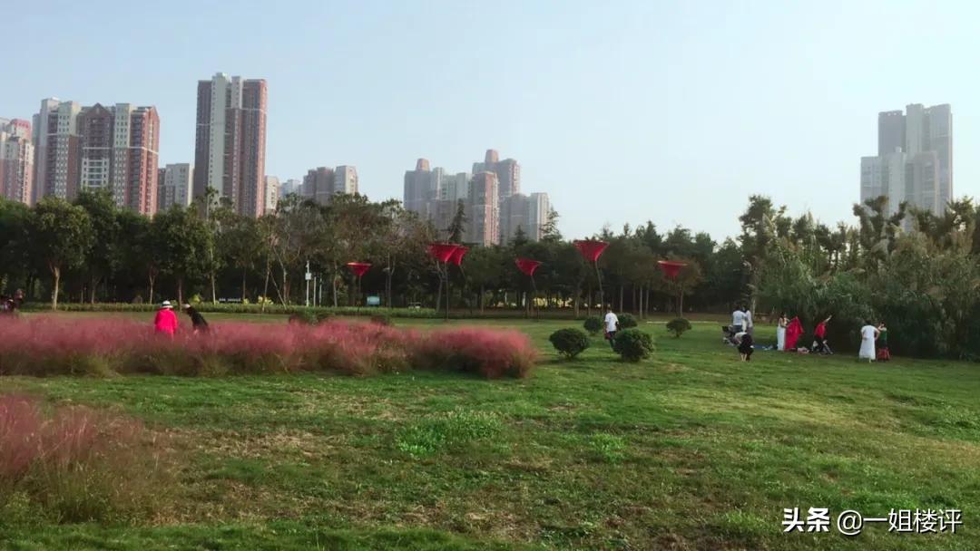 豪横！8条地铁线！万达、腾讯、山姆、永旺这个区域今年要爆了