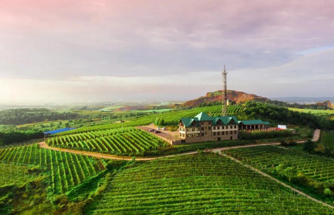 大连60条精品旅游线路,大连旅游一日游线路推荐