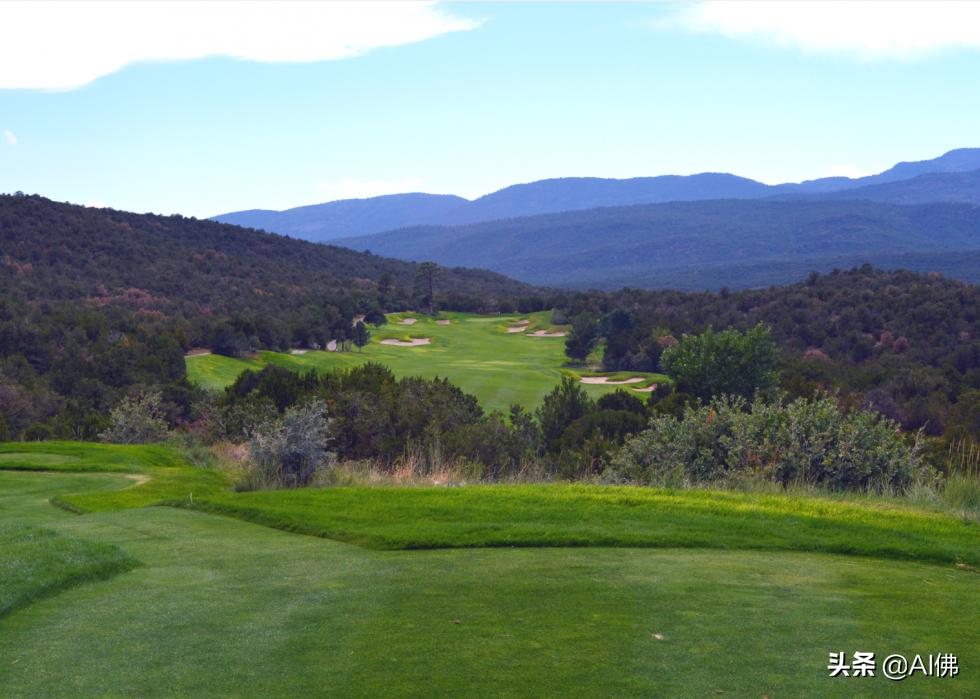 美国圆石滩高尔夫球场,美国高尔夫球场数量