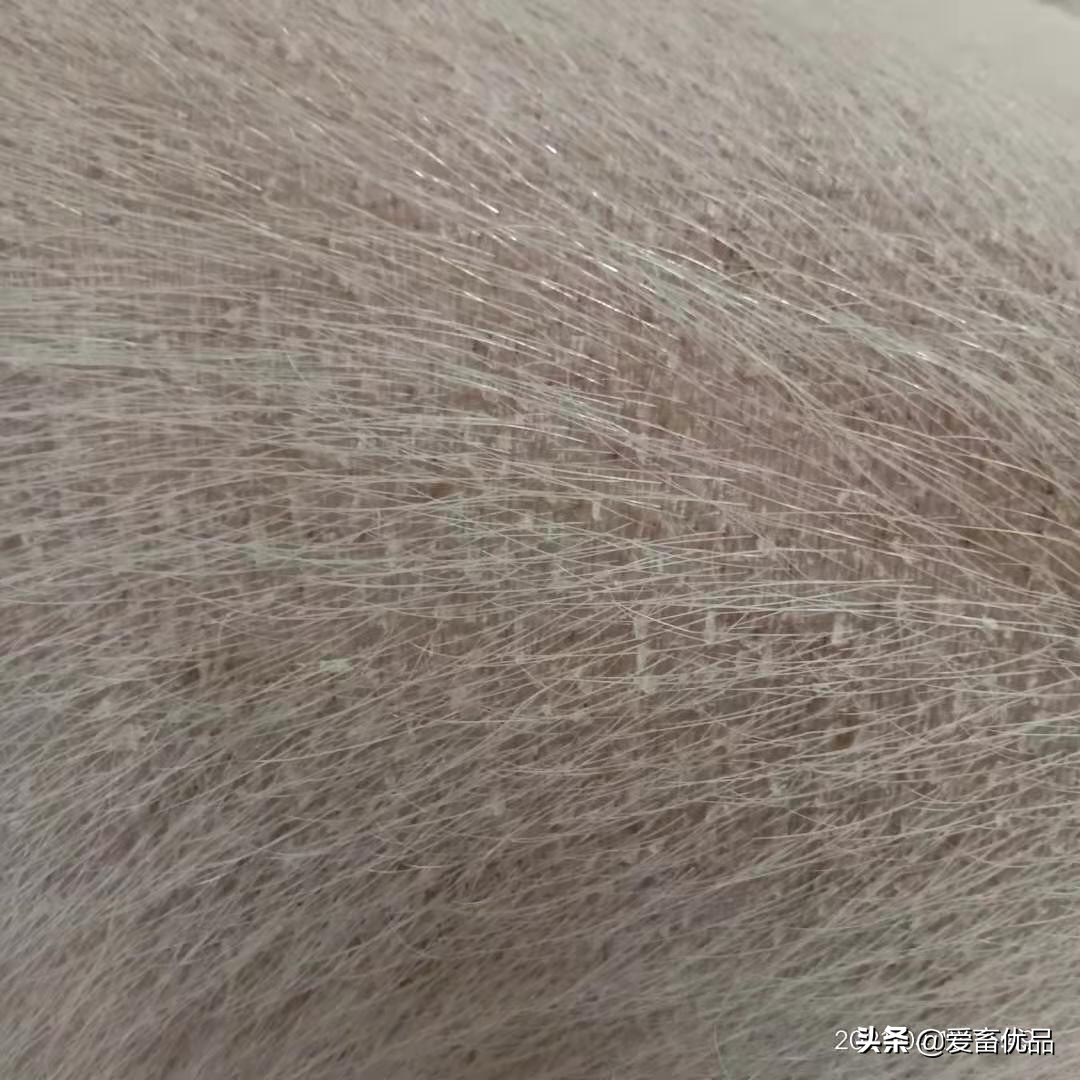 母猪身上脱皮是怎么回事,怀孕母猪身上起皮有裂纹怎样治