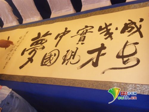 河南大学生村官优秀事迹,历届河南大学生村官