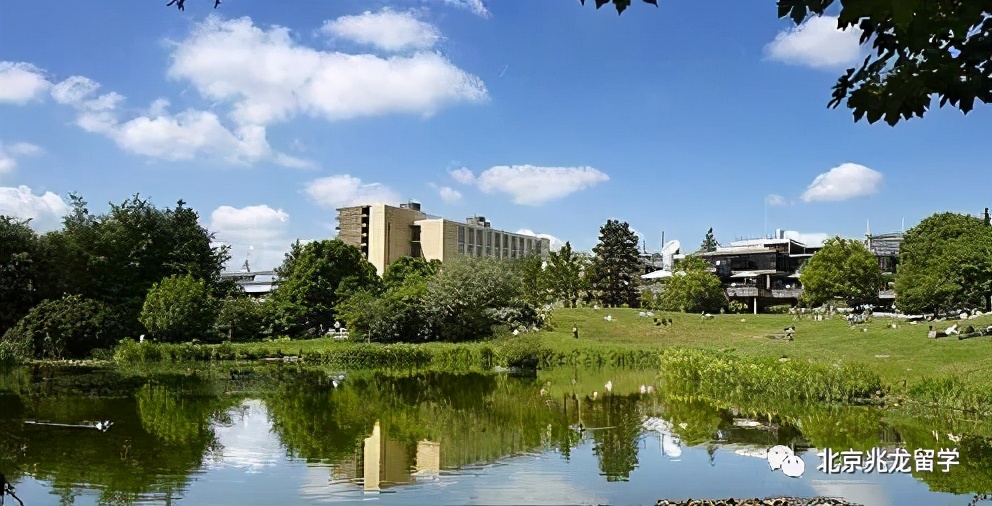 英国商科专业学校排名,英国商科名校申请