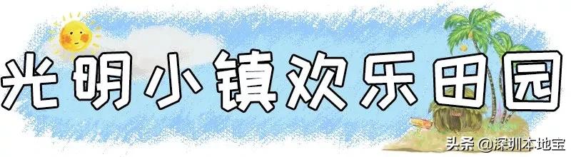 深圳完全免费的十大景点,深圳10大免费景点上集