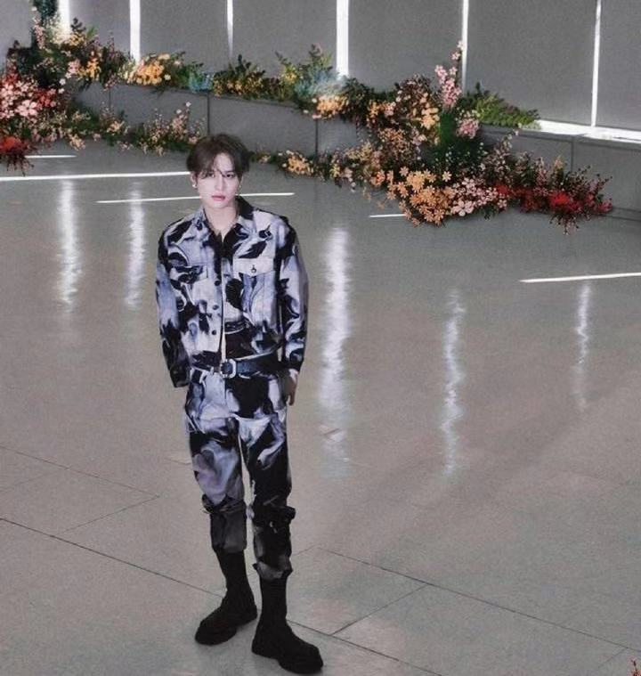 防弹伯贤,伯贤防弹少年团