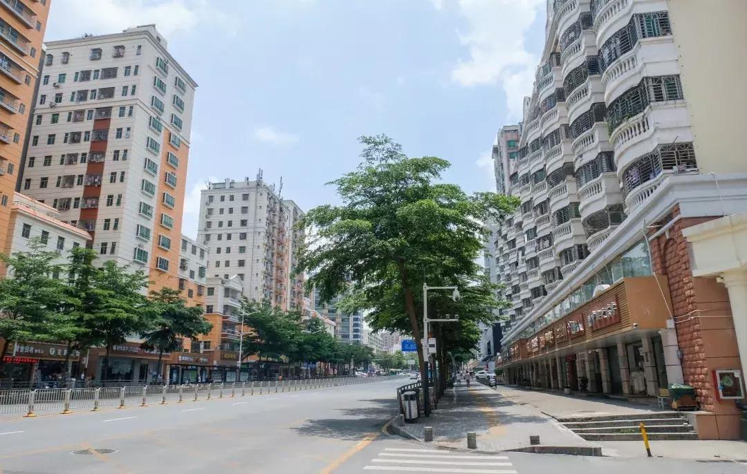 民治片区有未来吗,民治有什么特色