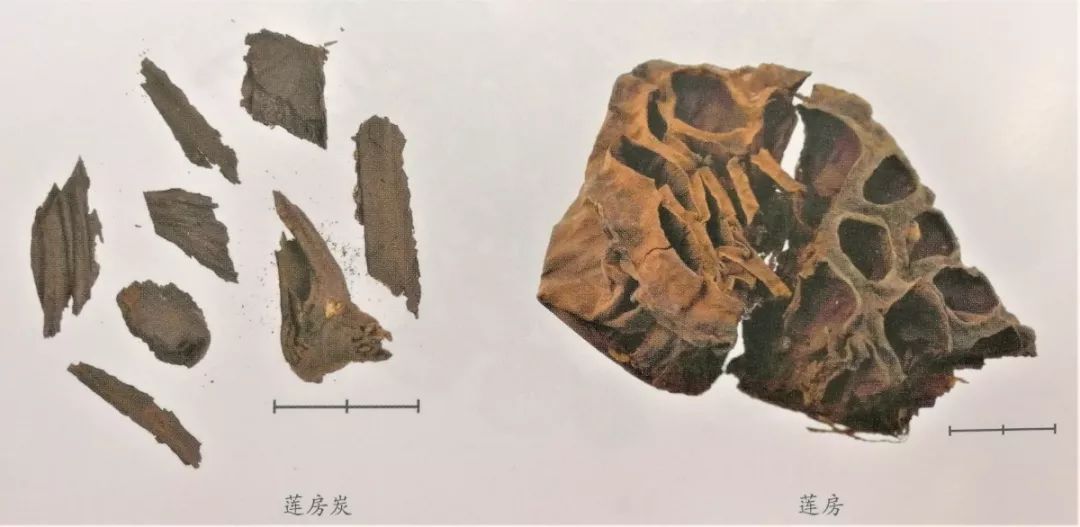 新版人民币金线错位有收藏价值吗,人民币里竟然还藏着这些小秘密