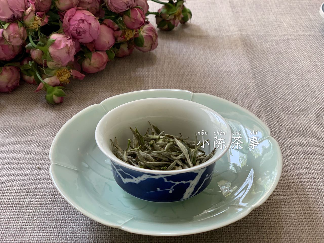 买白茶茶饼该怎么选,新手白茶入门选购白茶的优先级