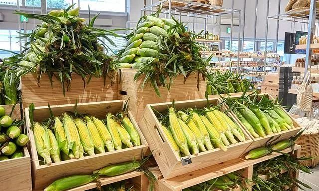 颠覆式农业技术,颠覆农业的技术