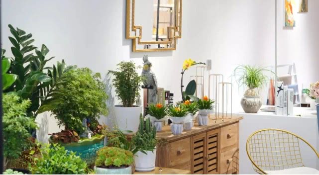 开花店怎样赚钱,成都开花店赚钱吗