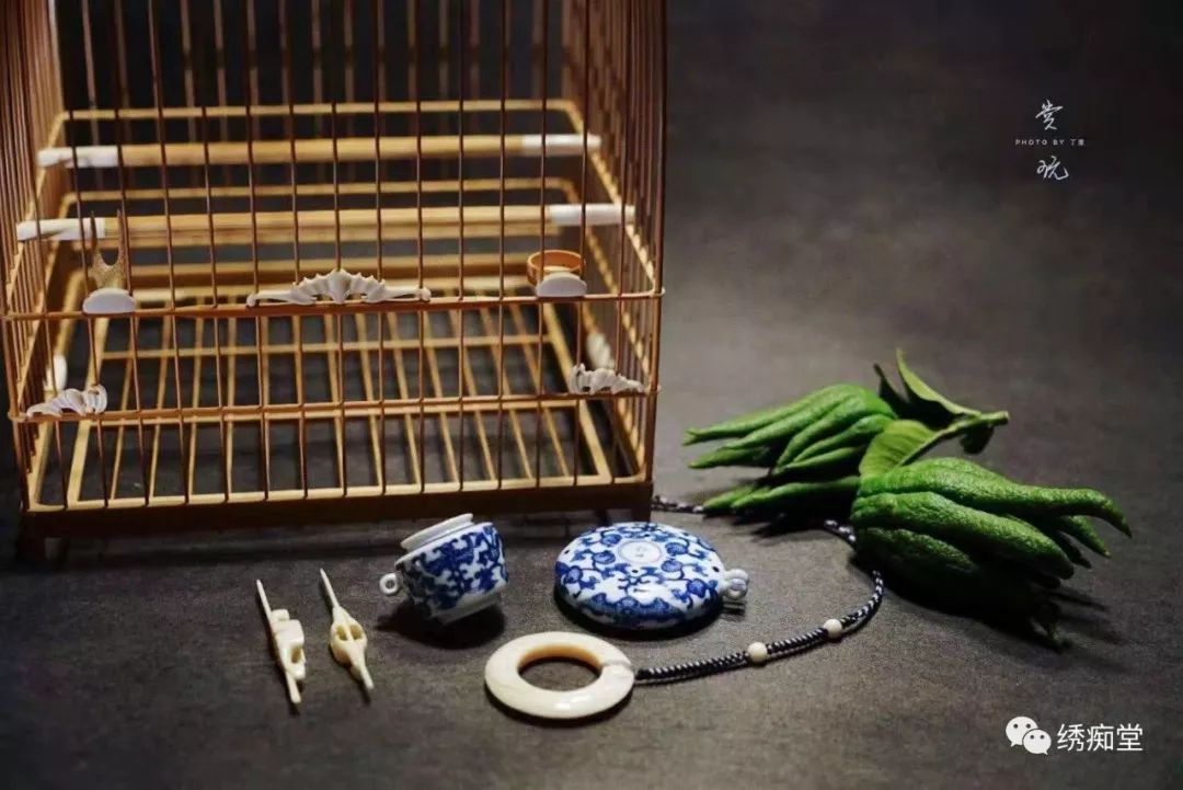 怎么分辨绣眼公母,绣眼一个月怎么判断公母