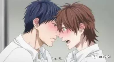 14部连载腐剧更新~