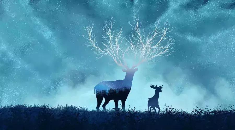 一匹马的故事,带你认识这个宇宙的真相!