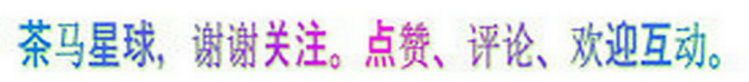 科学家创造奇迹视频,科学家创造新生物