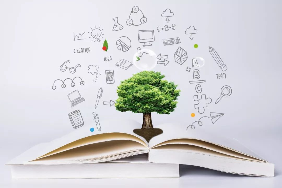 初二下学期各科的提分方法,初二是成绩下滑的高危期