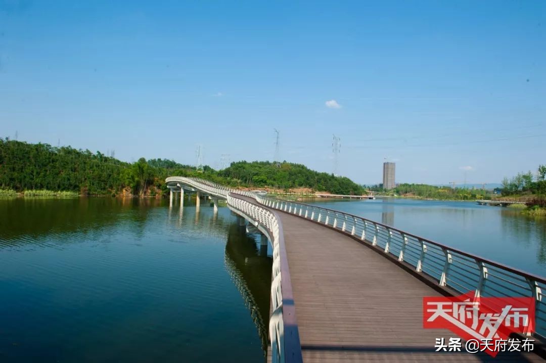 世警会准备什么,世警赛赛程2023