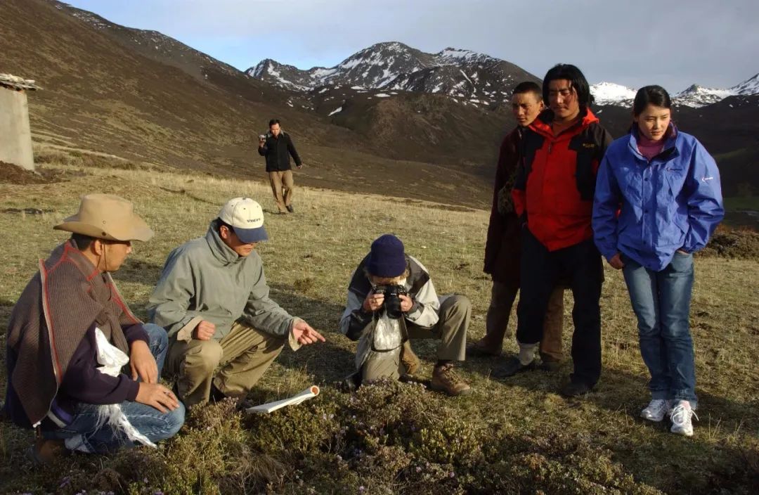 中医让人不相信的药材,难以接受的中药药材