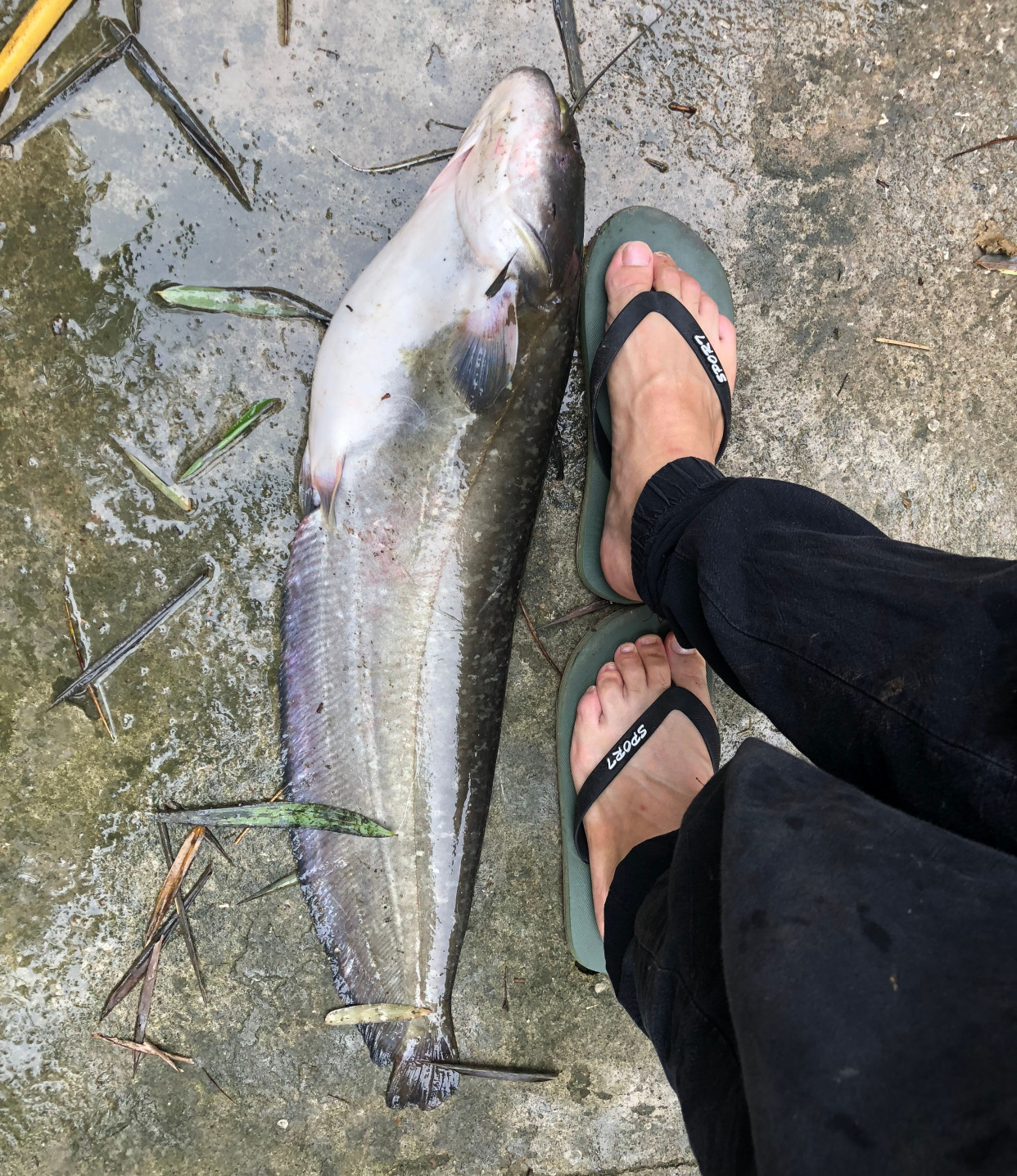 路亚各种钓法选哪个好,路亚入门路亚如何才能钓到鱼