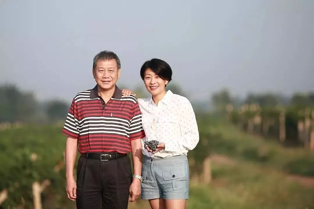 1300棵葡萄树被砍,砍掉1500亩葡萄树后利润