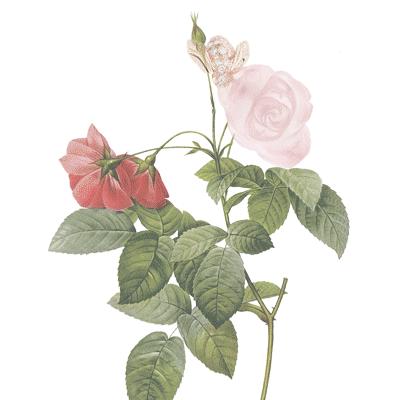 早春最流行的珠宝搭配,什么穿搭可以戴夸张的珠宝