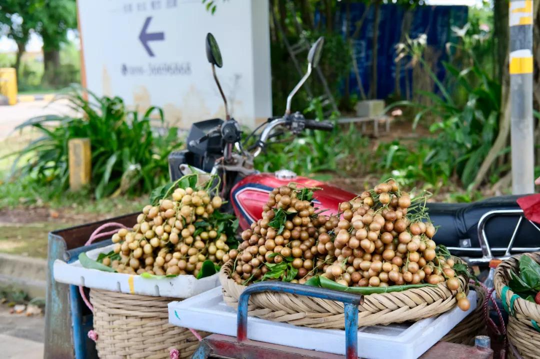 焦虑能去海口旅游吗,觉得焦虑就出来散散心