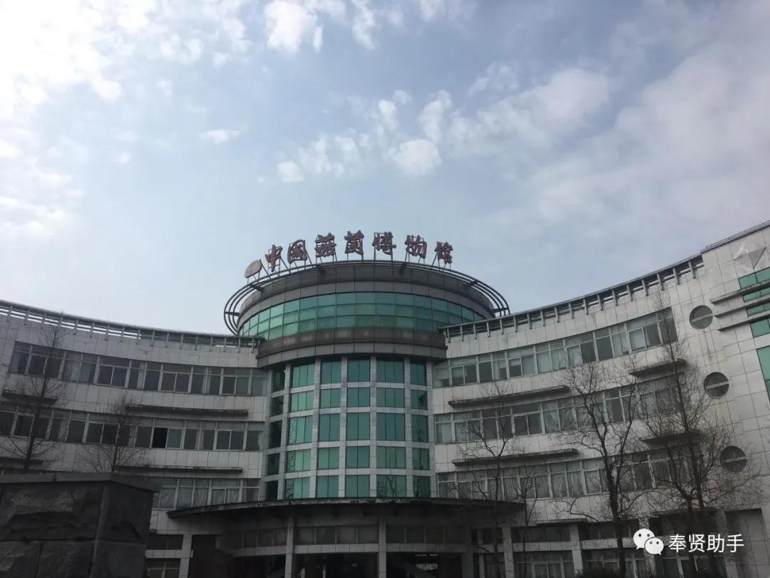 奉贤区南桥镇旅游景点,上海奉贤景点推荐一日游最佳路线