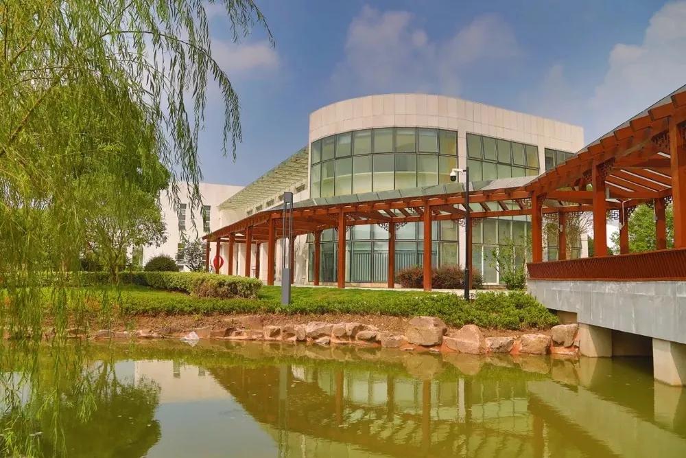 被称为沪上传奇校长，她说出了这所学校在三年内成为黑马的原因