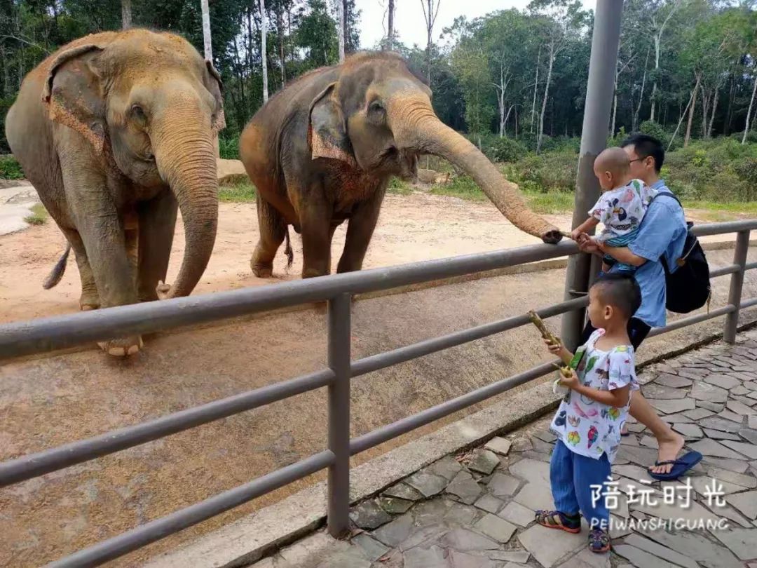 适合亲子游的海边酒店推荐,适合带娃的高端亲子海岛酒店