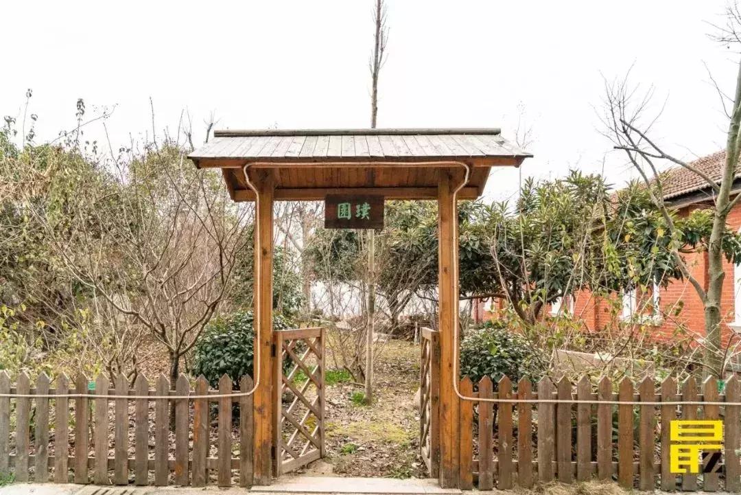 都说苏州市区这座学校的学生，上学最幸福！