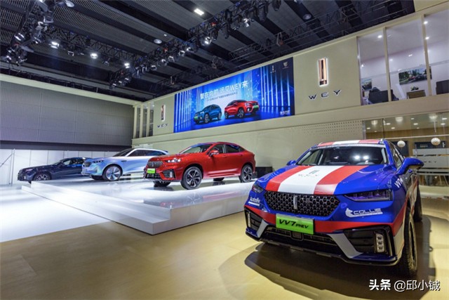 柳燕离职长城谁来接任,中国汽车协会副会长柳燕