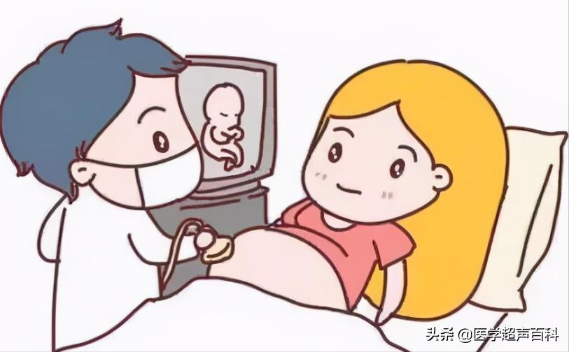 怎么样成为一名b超医生,b超医生的独白