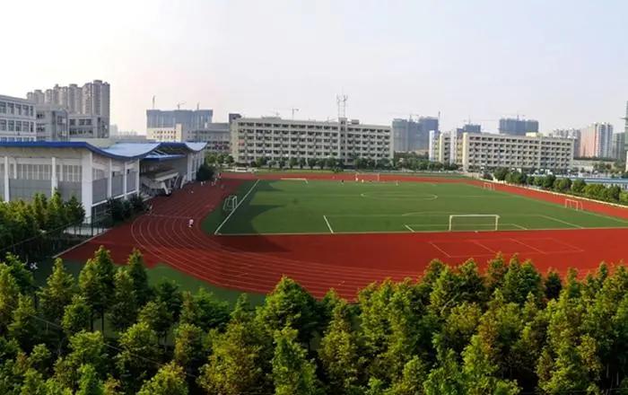 安徽比较好的医科大学省内排名,安徽医科大学全国大学排名