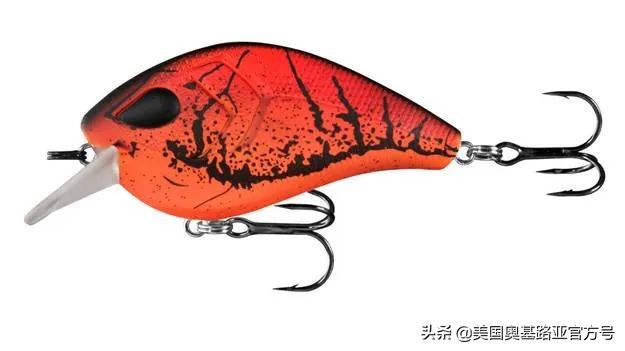 全国渔具展会2024时间表,全国渔具展2024