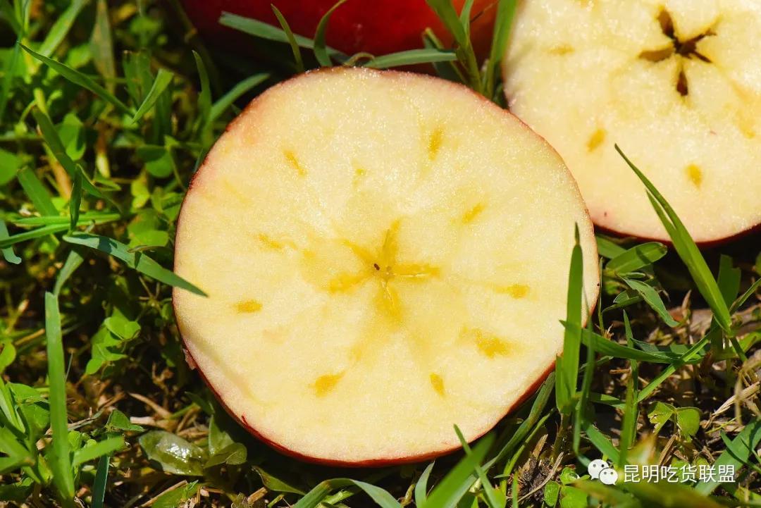 自驾29分钟到，昆明边大片红将军成熟可摘，1口糖心甜蜜又多汁