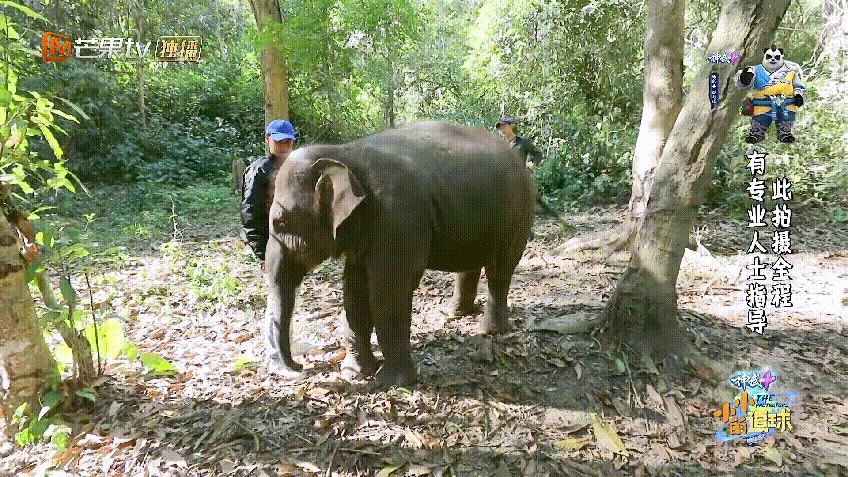 他们被杀之后，依然在爱你