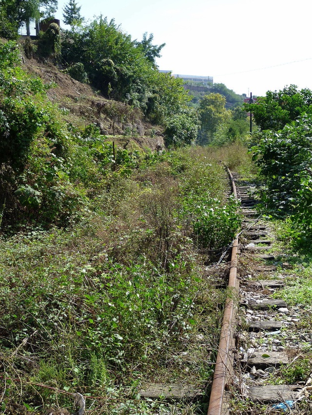 分享老照片，带你走进十年前的宝轮，还是那样的美