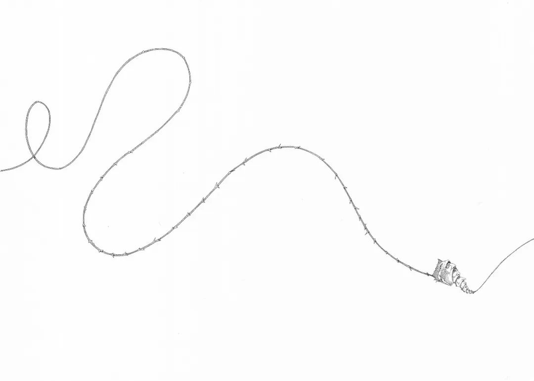 线上观展|奇美拉CHIMEREMostrapersonaleonline