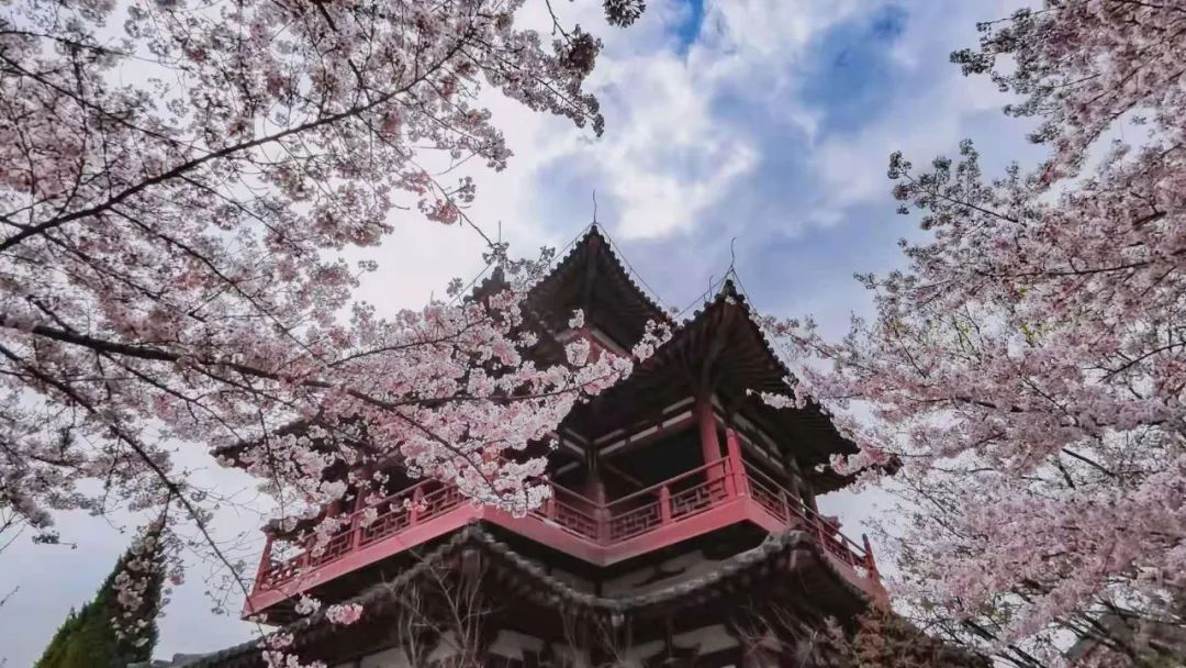 为啥用手机照相不好看,为什么手机拍照照片越来越不清晰