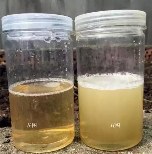 你吃到的蜂蜜是原蜜吗,你吃的是真蜂蜜还是假蜂蜜