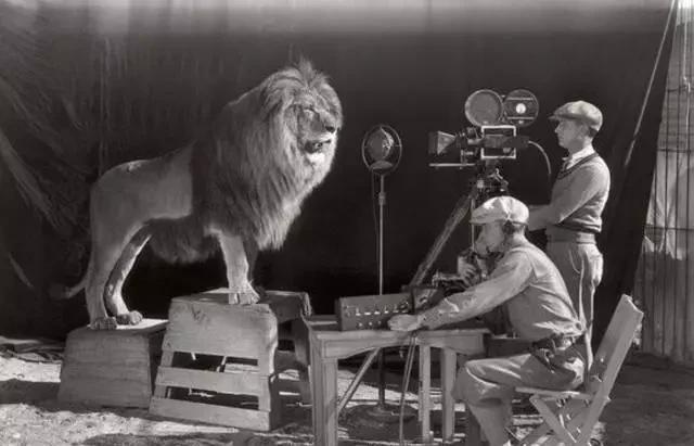 中国足球曾9次夺冠,中国足球拿过9届冠军