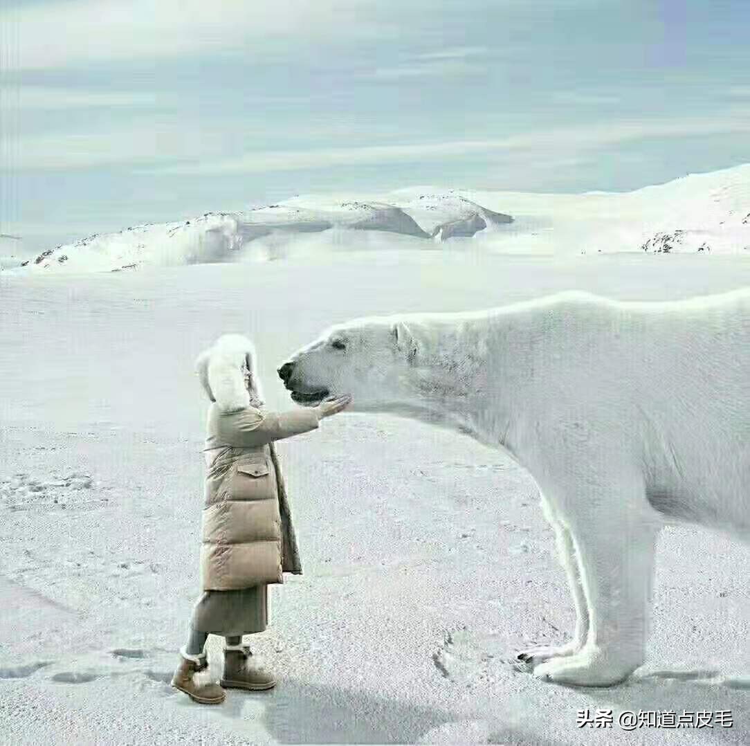 小众时尚坡跟雪地靴,时尚亮面皮毛一体雪地靴
