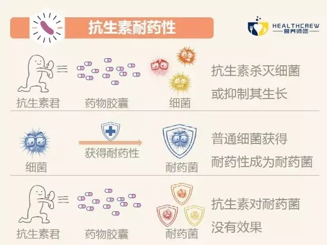教你一招识别抗生素,初步认识抗生素的基本知识