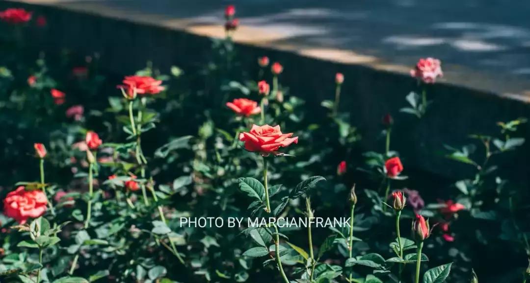 徐汇是啥,徐汇在哪里