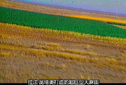 制片人杀人埋尸被抓,豆瓣评分9.4真实案件