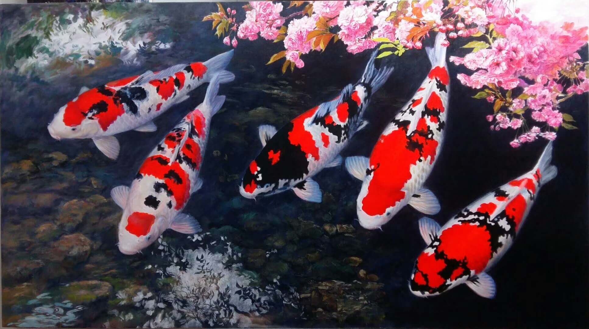 渔友张哥小视频,新鱼缸养锦鲤鱼正确的方法和技巧