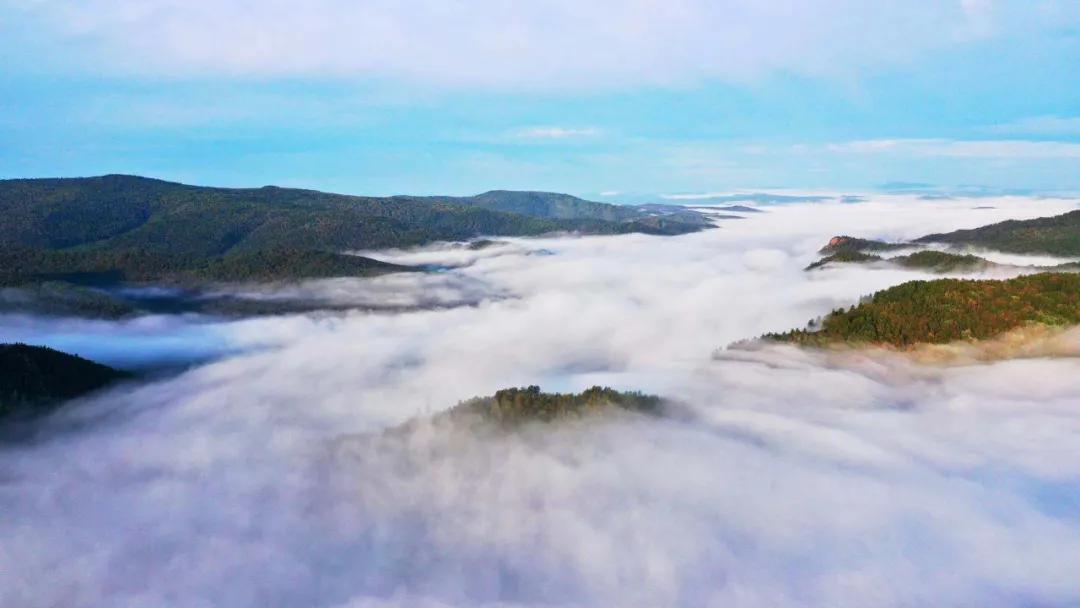 呼伦贝尔大草原天蓝草绿,呼伦贝尔蓝天白云牛羊成群