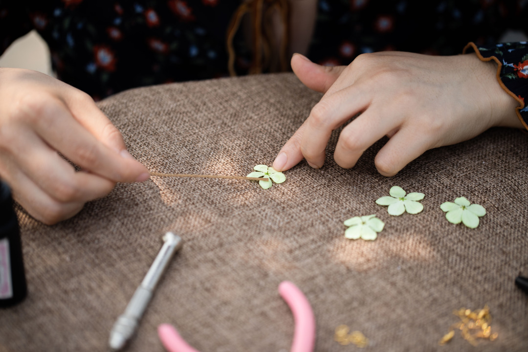 收藏春天的教程,怎么收藏春天