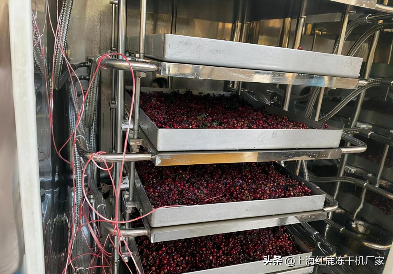 山东大型花椒烘干设备,潍坊花椒干燥设备报价图片