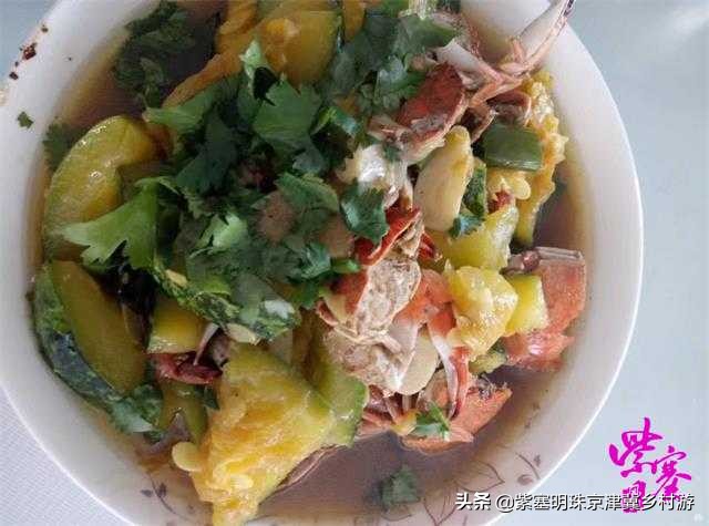 人间六月天，来海岛许一场似水流年——唐山乐亭韩姐农家院