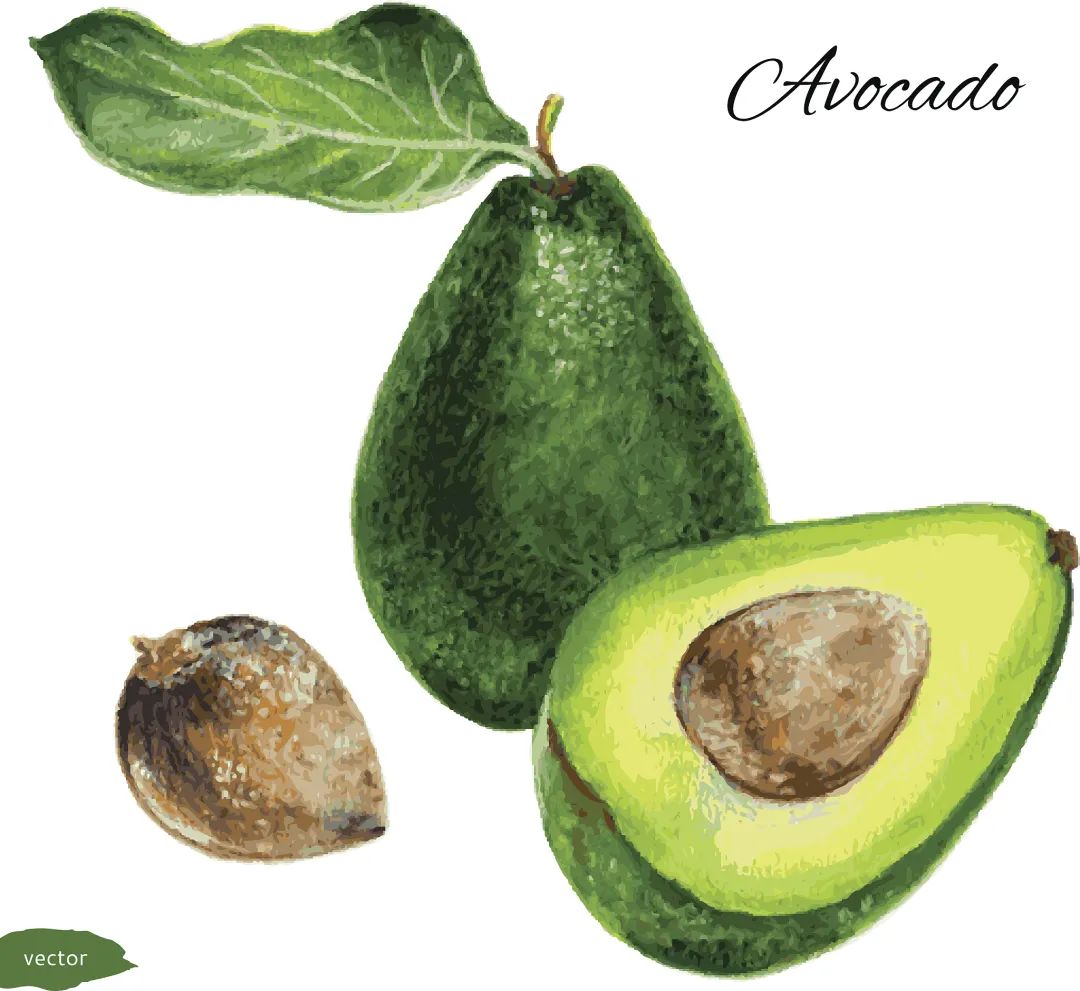 怎么做才能给皮肤补水,真正给皮肤补水的方法